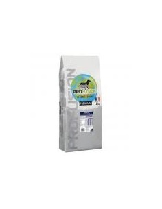 CHAT ADULTE PROFUSION 20KG
