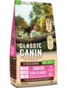 classic canin junior
