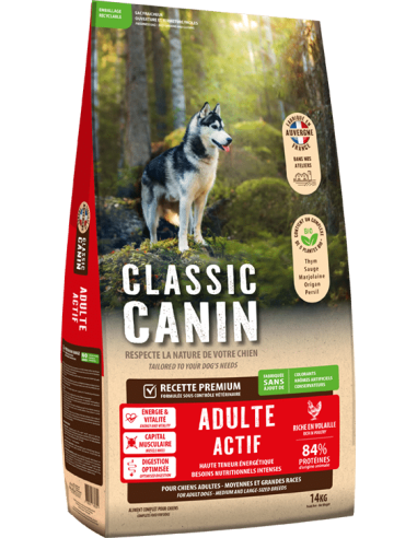 CLASSIC CANIN ADULTE ACTIF